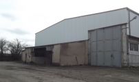 DSCF5009.JPG