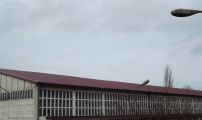 DSCF5010.JPG