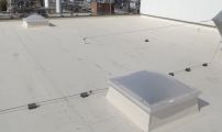 DSCF5269.JPG