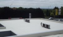 DSCF5483.JPG