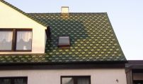 biberdoppeldeckung 05