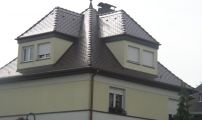 biberdoppeldeckung 08