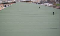 flachdach gruen beschiefert