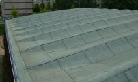 flachdach hp schale 01.JPG